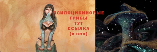 соль ск Волосово