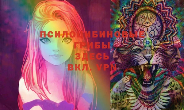прущий лед Верея