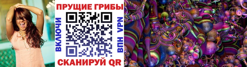 Галлюциногенные грибы Psilocybine cubensis  площадка формула  Камышлов  OMG онион 